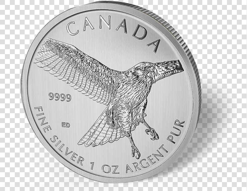 2015 Canadian 1oz Silver Red Tailed Hawk  5 Coin  HD Png DownloadTransparent PNG