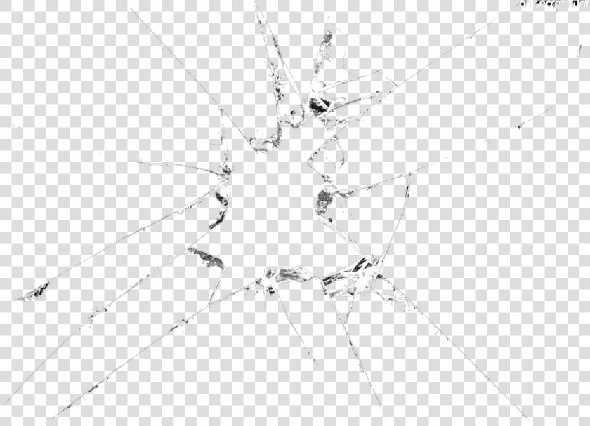 Shattering Glass Png   Insect  Transparent PngTransparent PNG