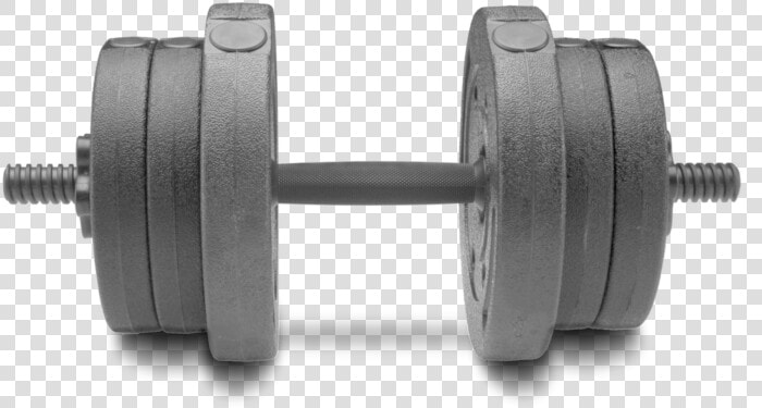 Clip Art Foam Dumbbells   Dumbbell  HD Png DownloadTransparent PNG