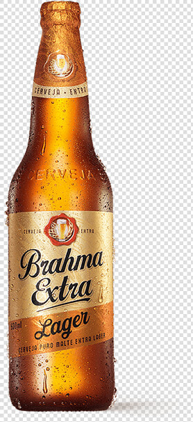 Brahma Extra Long Neck  HD Png DownloadTransparent PNG