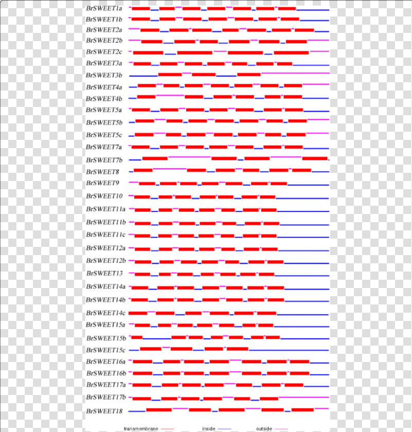 Protein Structure Of Mtn3 saliva sweets In B  HD Png DownloadTransparent PNG