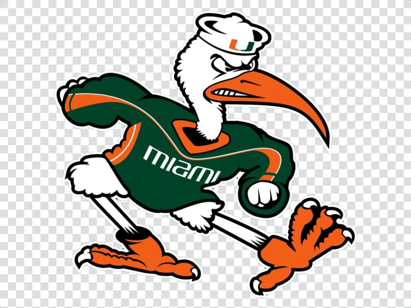 University Of Miami Png   Miami Hurricanes Logo  Transparent PngTransparent PNG