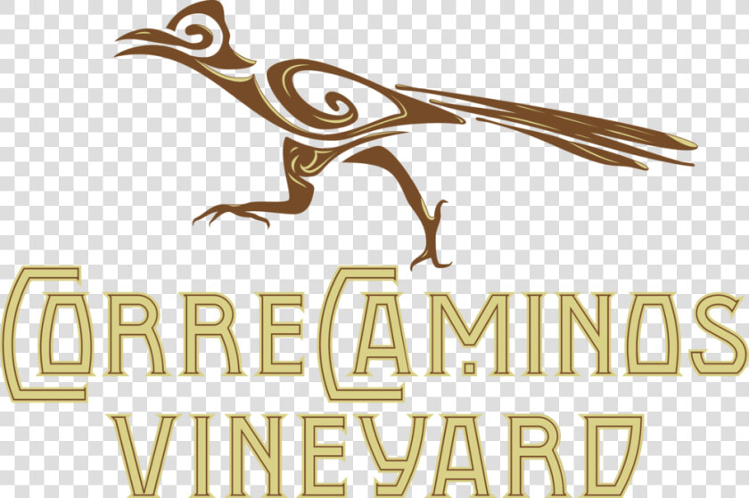 Correcaminos Vineyard Logo  HD Png DownloadTransparent PNG