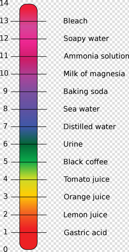 Calcium Carbonate On Ph Scale  HD Png DownloadTransparent PNG