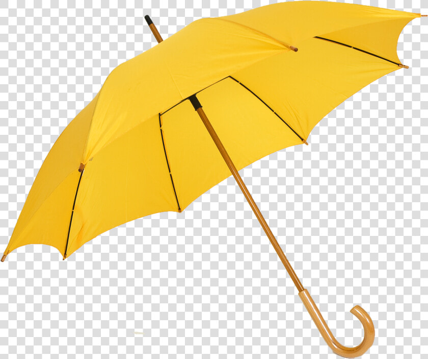  yellow  aesthetic  umbrella  png  cute  polyvore  adorable   Umbrella Png  Transparent PngTransparent PNG