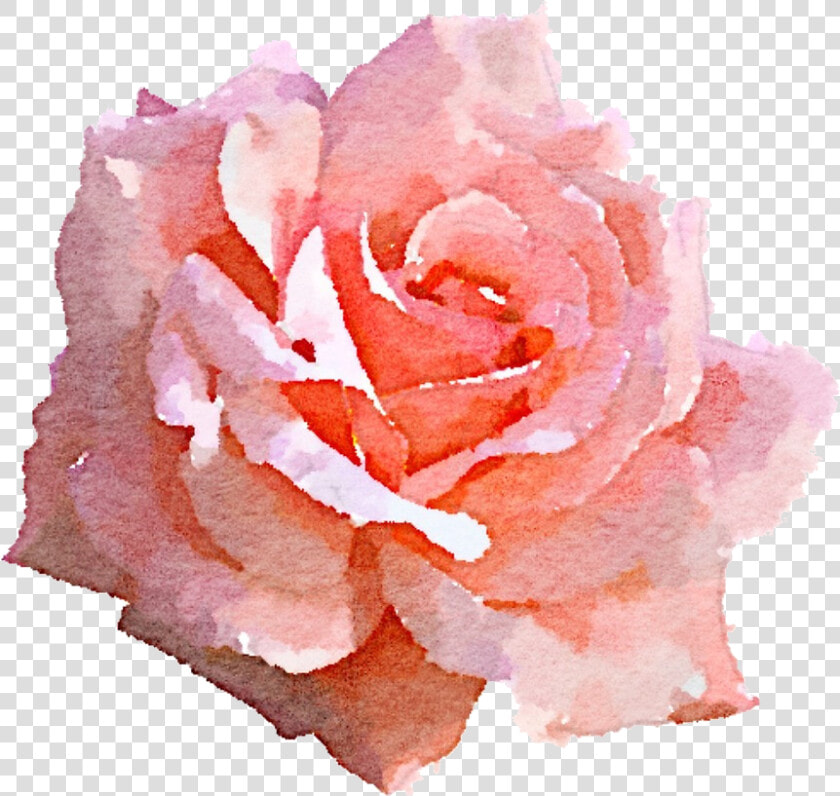 Clip Art Pink Rose Png   Pink Rose Watercolor Png  Transparent PngTransparent PNG