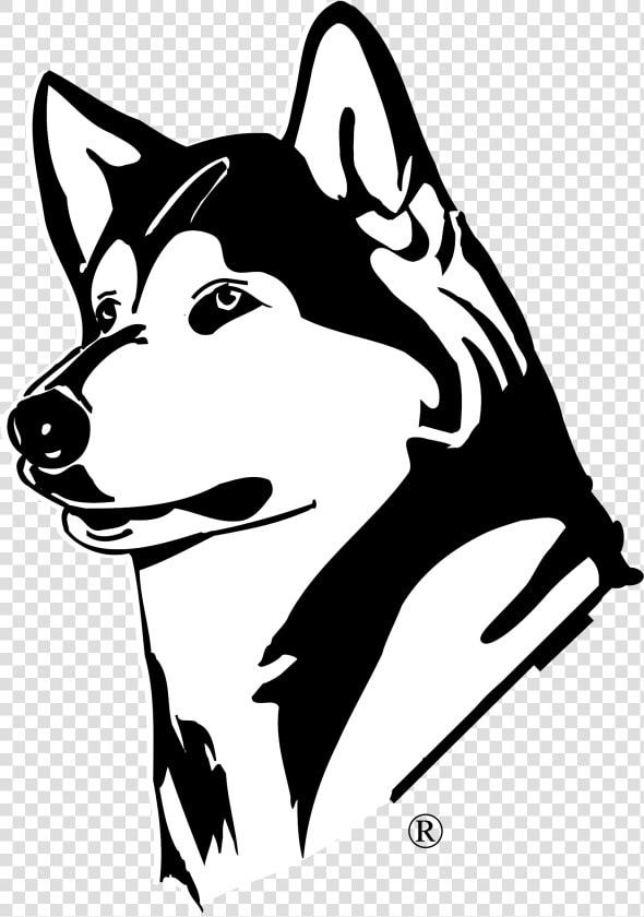 Husky Png   Washington Huskies  Transparent PngTransparent PNG