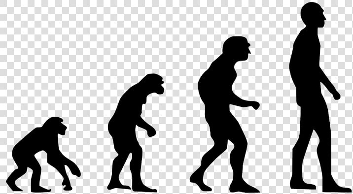 Evolution  Human Evolution  The Theory Of Evolution   Theory Of Evolution Png  Transparent PngTransparent PNG