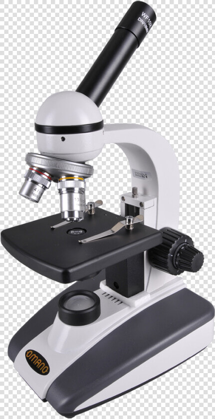 Microscope Free Download Png   Compound Light Microscope Png  Transparent PngTransparent PNG