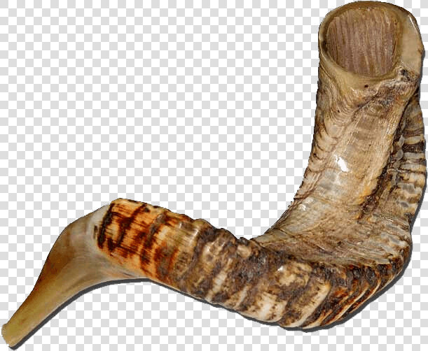 Ram Shofar  HD Png DownloadTransparent PNG