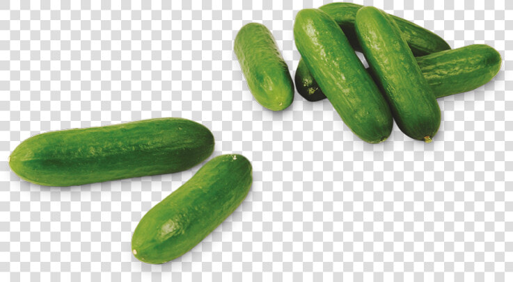 Snack Cucumbers   Mini Komkommers  HD Png DownloadTransparent PNG