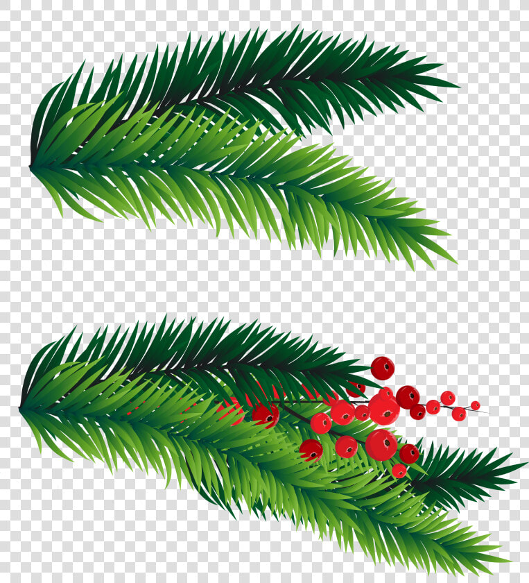 Clip Art Branches For Decoration   Christmas Tree Branch Clip Art  HD Png DownloadTransparent PNG