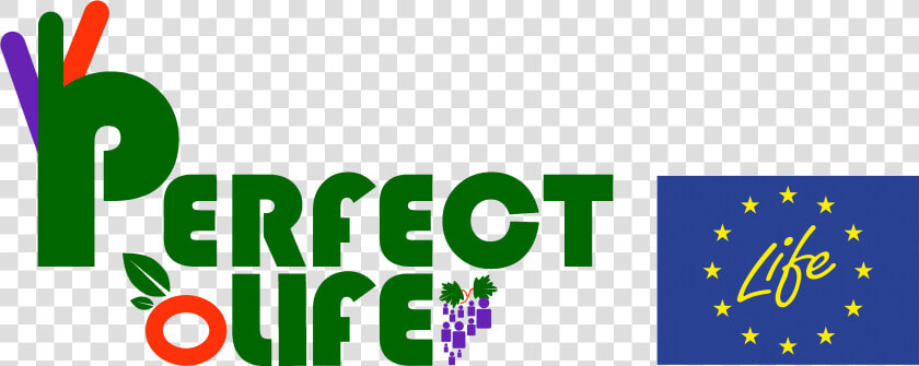 Perfect Life   Life  HD Png DownloadTransparent PNG