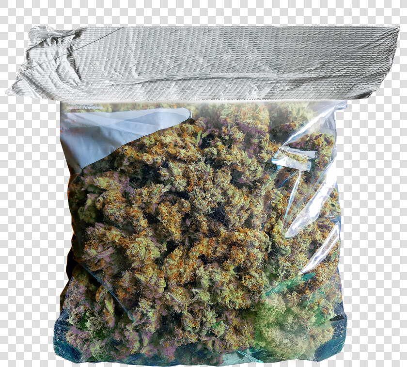 Bag Of Weed Png Clipart Images Gallery For Free Download   Strip Of Duct Tape  Transparent PngTransparent PNG