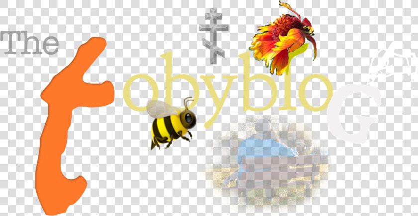 Welcome To My Blog   Honeybee  HD Png DownloadTransparent PNG