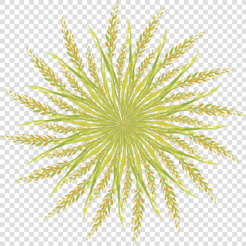 Simplicity Creativity Fashion Decoration Png And Psd   Grass  Transparent PngTransparent PNG