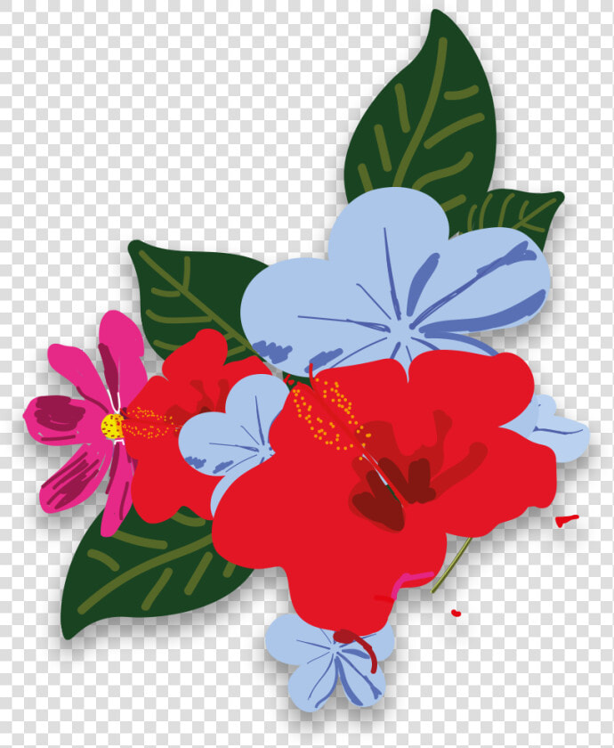 Impatiens  HD Png DownloadTransparent PNG