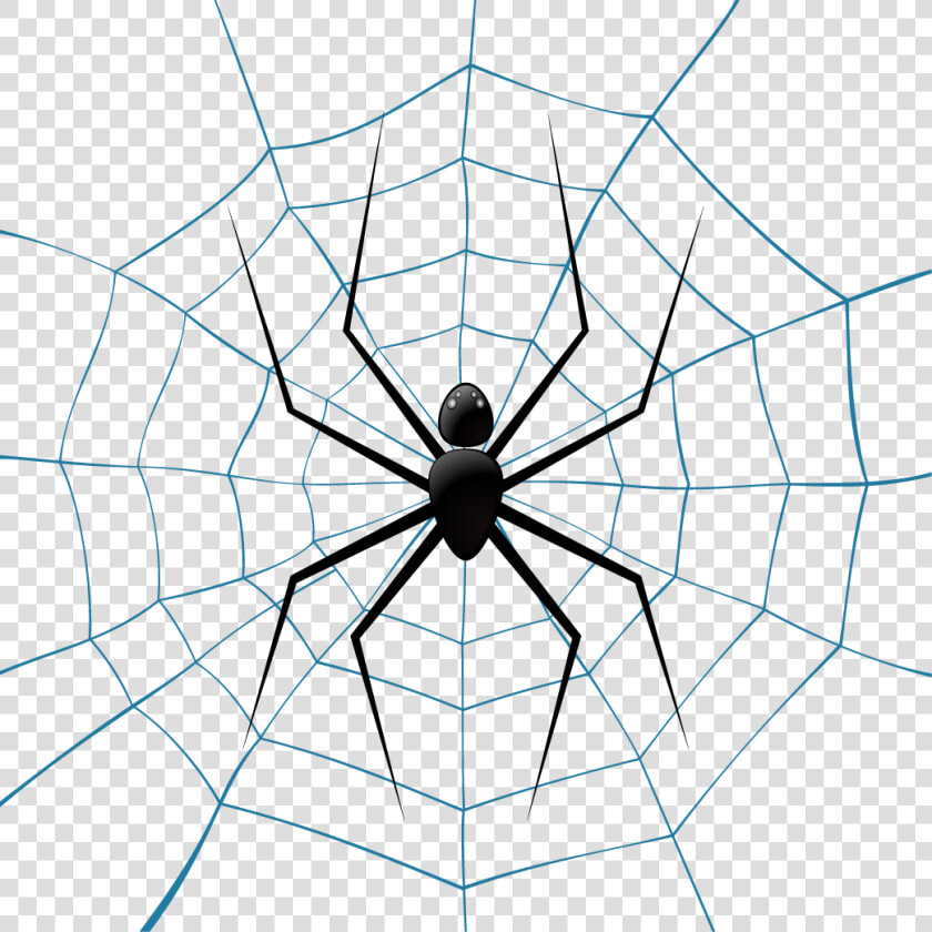 Spider Web Theridiidae Euclidean Vector Illustration   Fondo Azul Con Telaraña  HD Png DownloadTransparent PNG