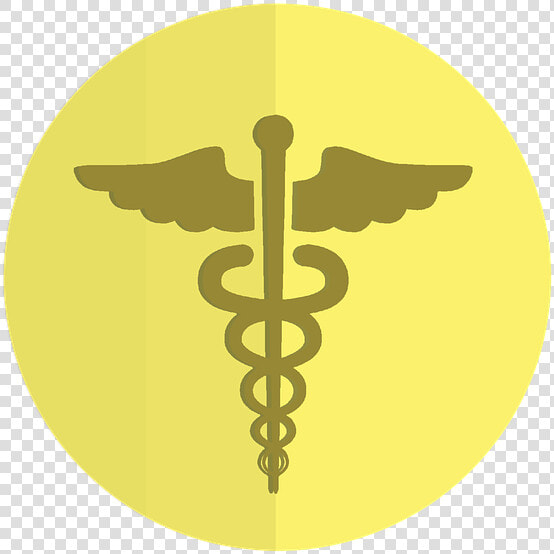 Icon  Healthcare  Caduceus  Health  Hermes  Hospital   Down Steal This Album  HD Png DownloadTransparent PNG