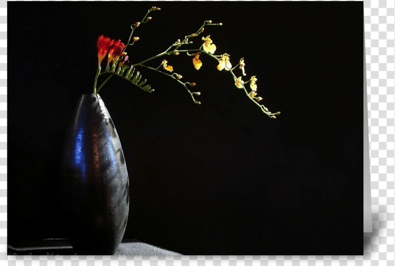 Orchids In Black Vase Greeting Card   Still Life Photography  HD Png DownloadTransparent PNG