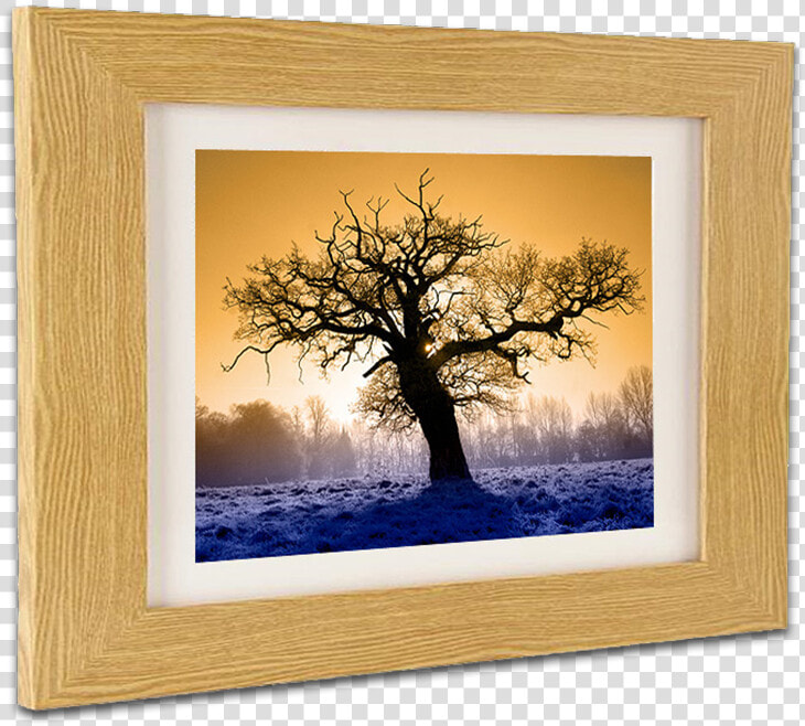 Real Wood Picture Framing At Hayman Creative Nottingham   Picture Frame  HD Png DownloadTransparent PNG