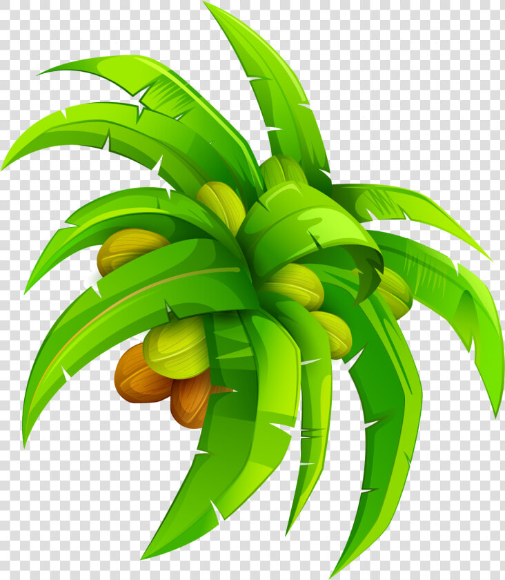 Leaf Coconut Euclidean   Coconut Leaf Vector Png  Transparent PngTransparent PNG