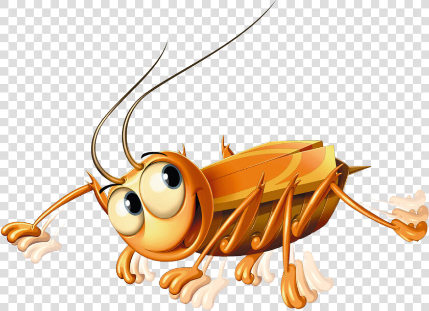 La Cucaracha  HD Png DownloadTransparent PNG