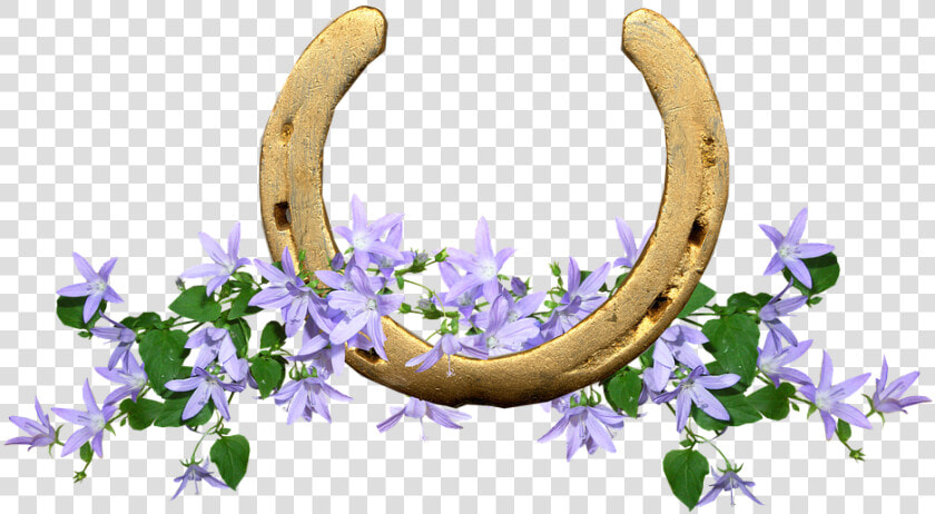 Horse Shoe  Lucky  Flowers  Talisman   Horse Shoe With Flowers  HD Png DownloadTransparent PNG