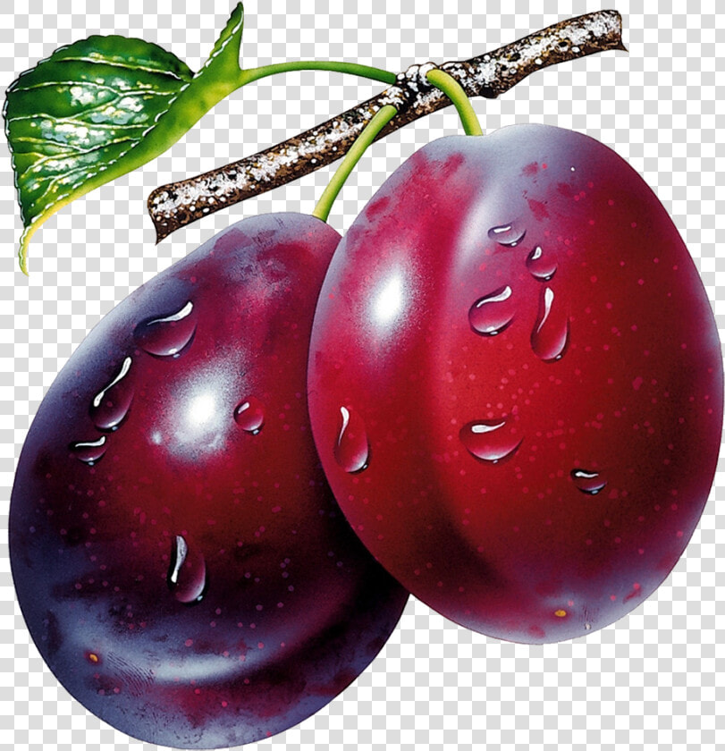 Plum Png Image   Prunes Clipart Png  Transparent PngTransparent PNG