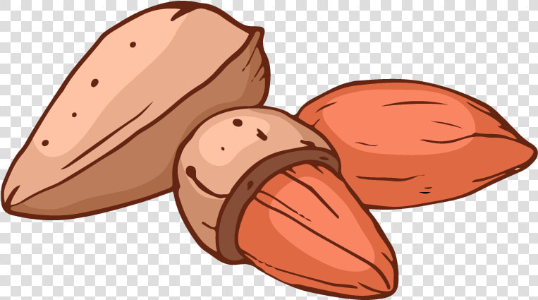 Mandel   Almond  HD Png DownloadTransparent PNG