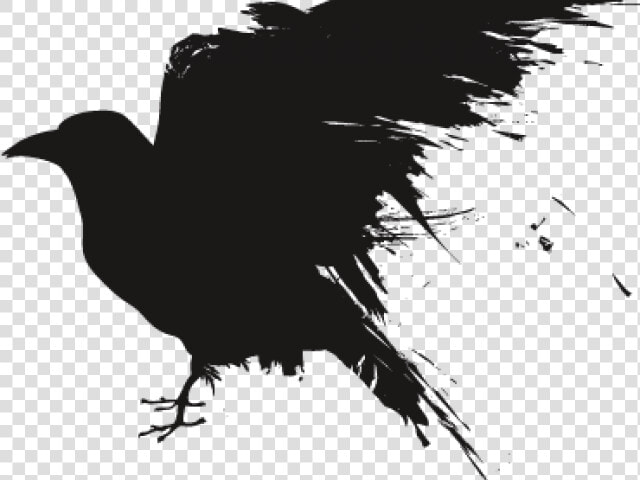 Portable Network Graphics Clip Art Common Raven Transparency   Raven Art Transparent Background  HD Png DownloadTransparent PNG