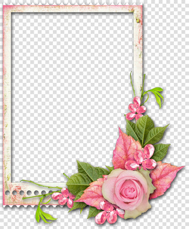 Cadre Avec Fleurs   Cadres Fleur Transparent  HD Png DownloadTransparent PNG