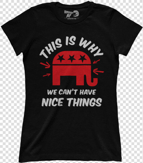 This Is Why We Can T Have Nice Things  ladies    Certified Ethical Hacker T Shirt  HD Png DownloadTransparent PNG