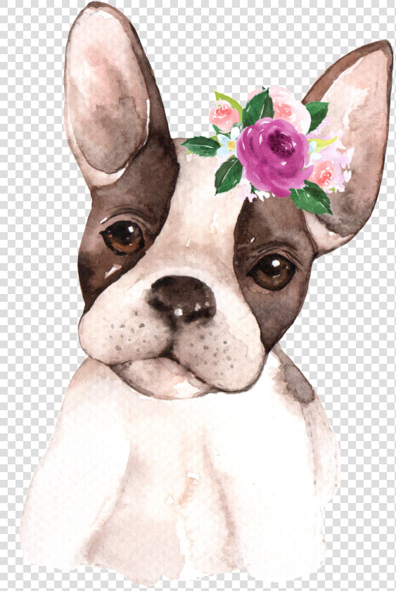 Hand Painted Starling Pet Dog Png Transparent   Dog Calendar August 2019  Png DownloadTransparent PNG