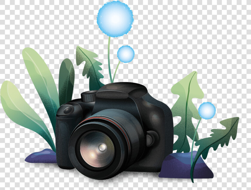 Single lens Reflex Camera  HD Png DownloadTransparent PNG