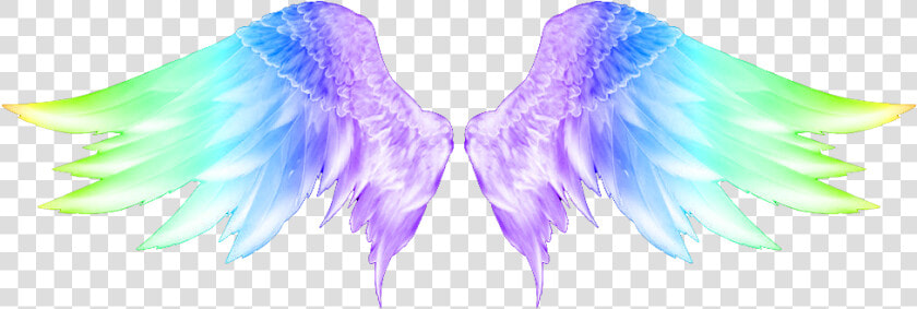  wings  colorful  colorfulwings  angelwings  carnaval   Angel Wings Png Hd  Transparent PngTransparent PNG