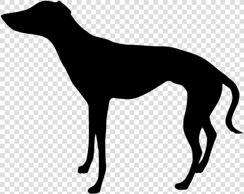 Italian Greyhound Whippet Clip Art Silhouette   Horse Side View Silhouette  HD Png DownloadTransparent PNG