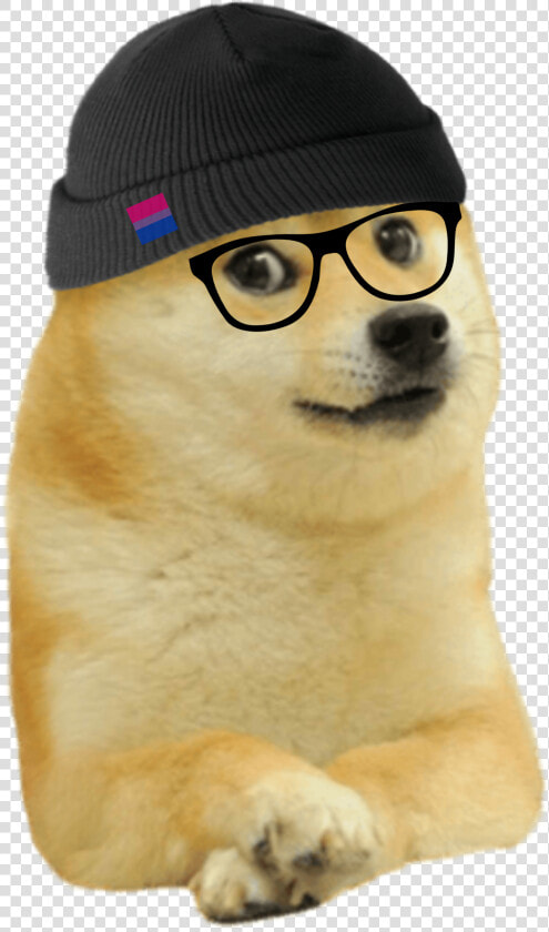 Mammal Dog Canidae Dog Breed Carnivore   Doge Smirk Meme  HD Png DownloadTransparent PNG