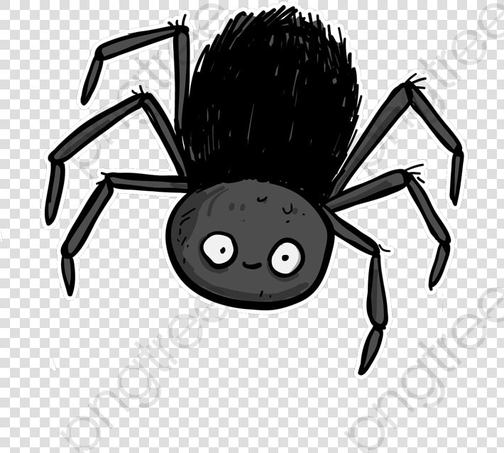 Spider Cartoon Png   Incy Spider Transparent Background  Png DownloadTransparent PNG