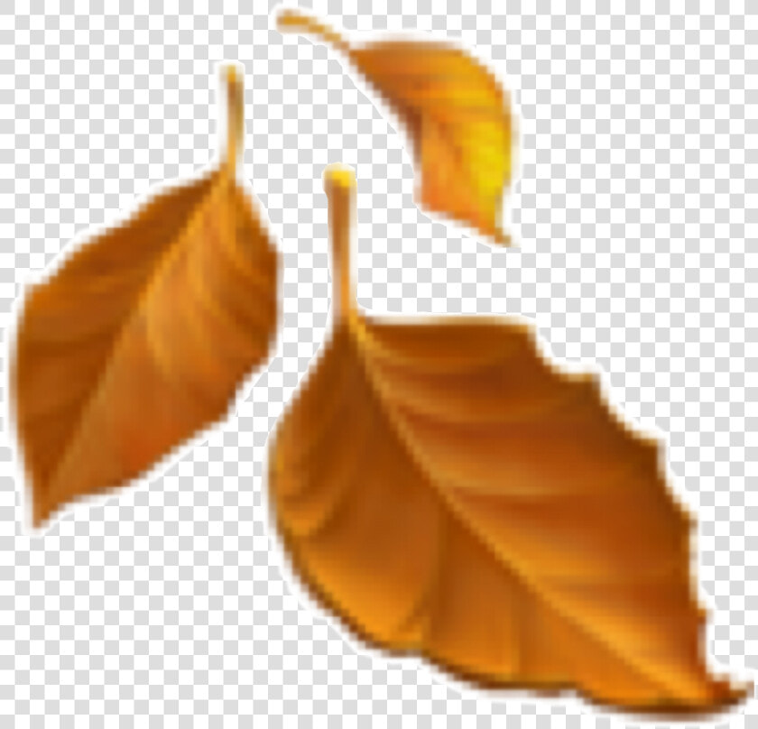 Emoji Leaf Fall Blatt Blätter Freetoedit   Transparent Fall Leaves Emoji  HD Png DownloadTransparent PNG