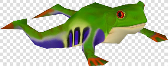 Red eyed Tree Frog  HD Png DownloadTransparent PNG