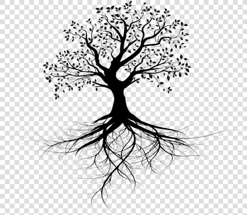 Invest In Ceiba Beach Resort And Residences   Tree Of Life Black And White  HD Png DownloadTransparent PNG