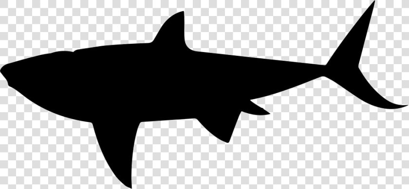 Shark Shape   Animal Silhouettes Shark  HD Png DownloadTransparent PNG