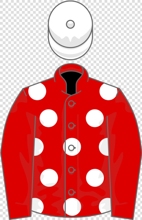 Helena Springfield Racing Colours  HD Png DownloadTransparent PNG