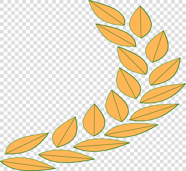 28 Collection Of Greek Leaves Clipart   Greek Clipart  HD Png DownloadTransparent PNG