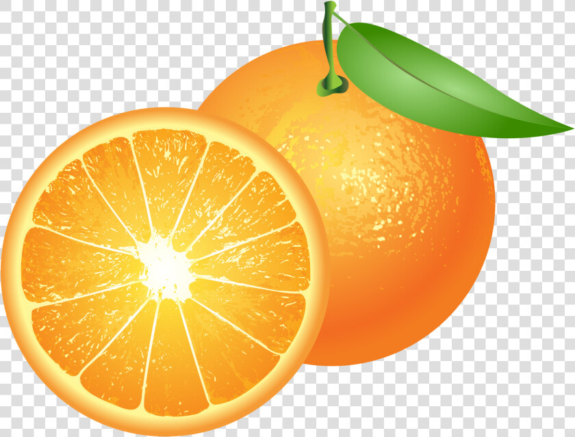 Oranges Png Png   Transparent Background Orange Clipart  Png DownloadTransparent PNG