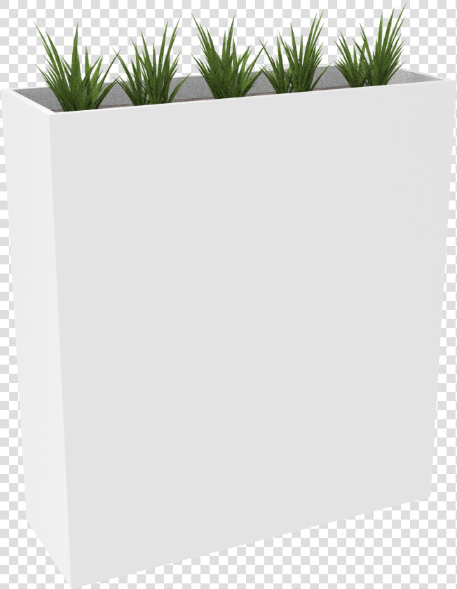 Flowerpot  HD Png DownloadTransparent PNG