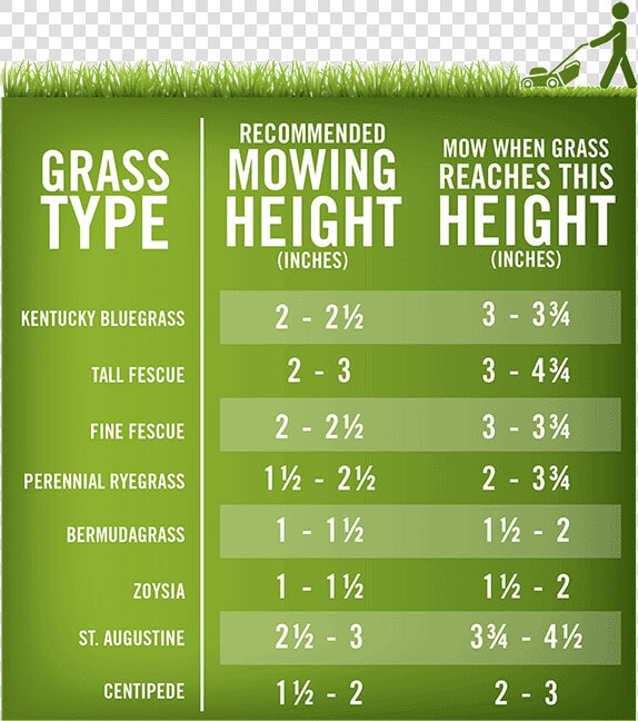 Lawn mowing Height Chart   Mowed Grass Height  HD Png DownloadTransparent PNG