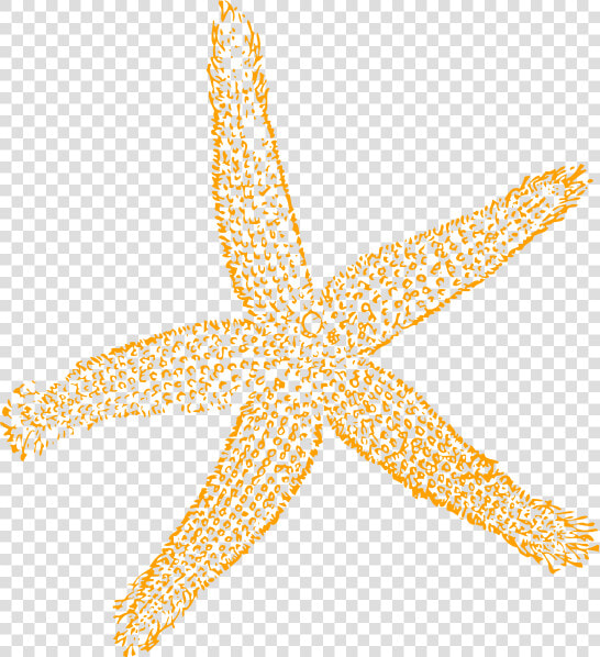 Sandy Starfish Clip Art At Vector Clip Art Online Image   Fish Clip Art  HD Png DownloadTransparent PNG