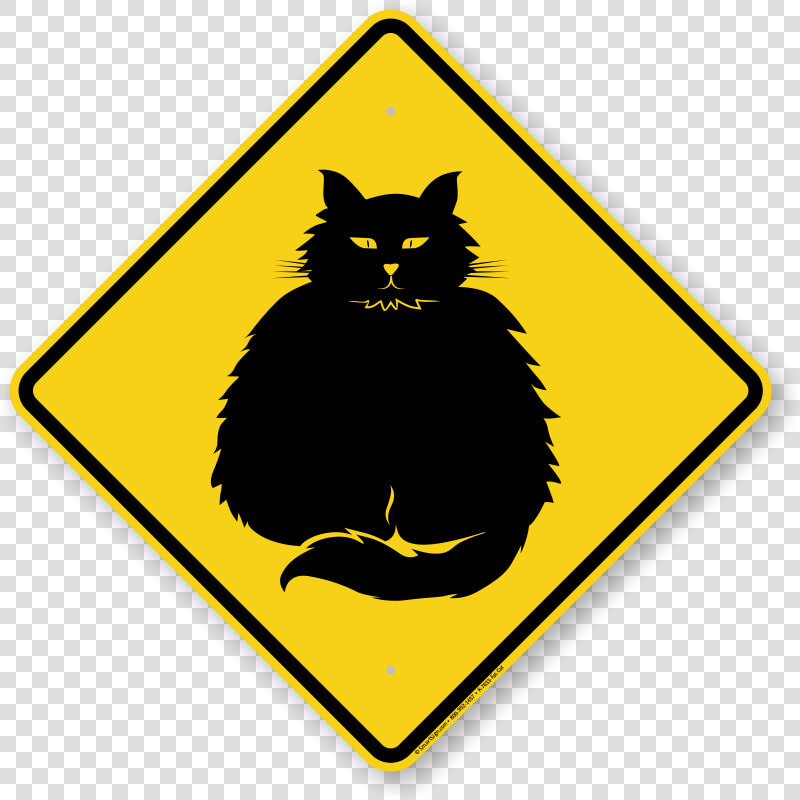 Winding Right Road Signs  HD Png DownloadTransparent PNG